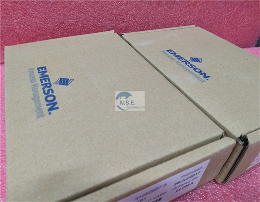 Multi Function Emerson Deltav VE4003S2B6 KJ3223X1-BA1 Standard I O Termination Block